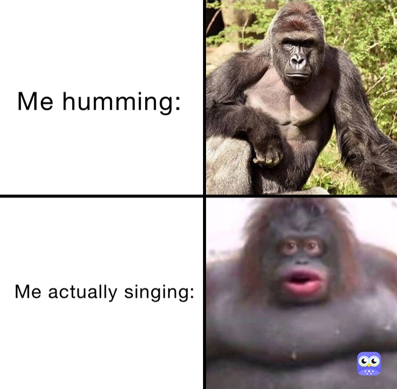 Meme by random_doggo