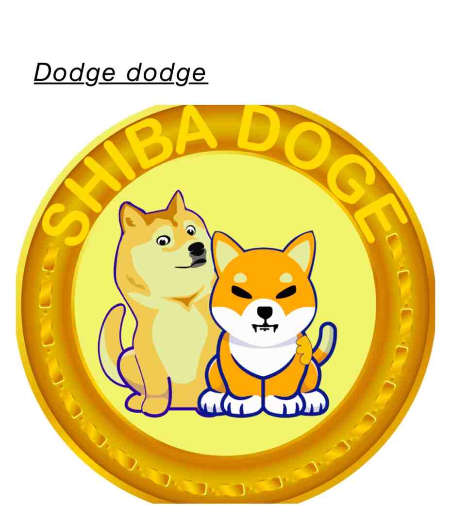 Funny doge@