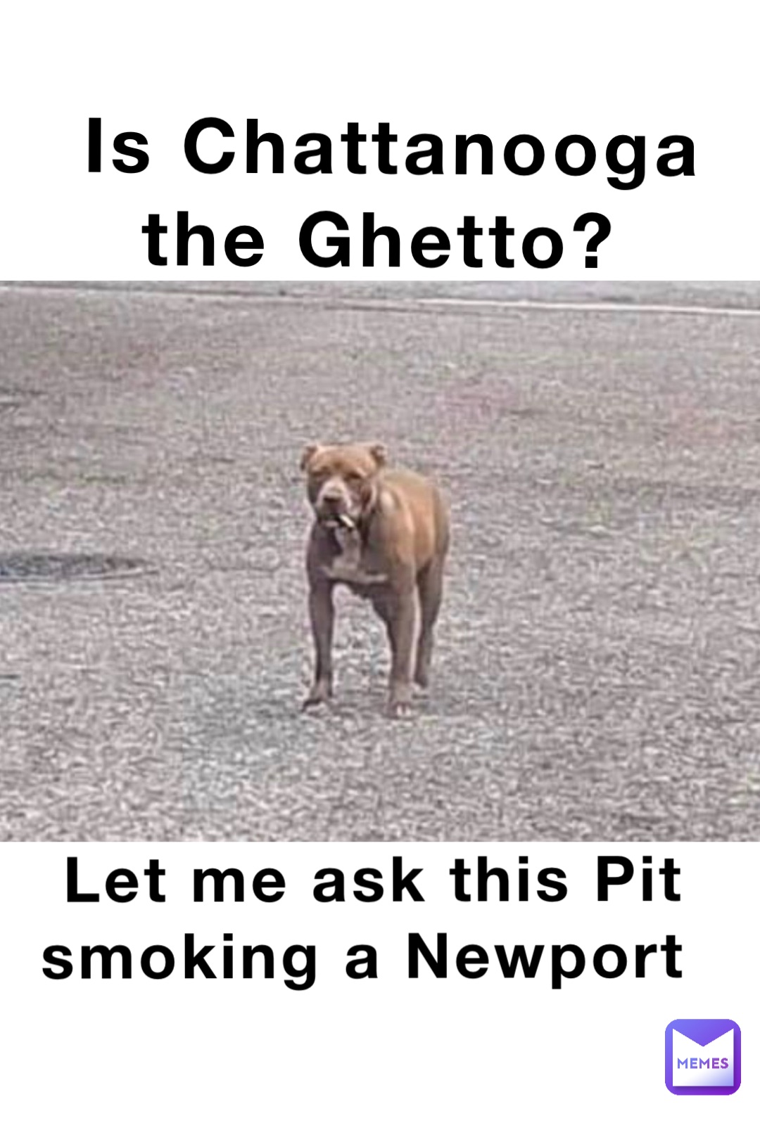 Is Chattanooga 
the Ghetto? Let me ask this Pit smoking a Newport