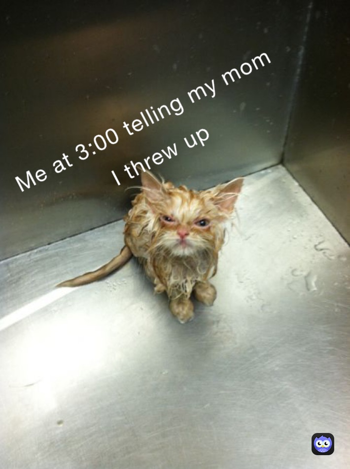 Meme by peeteryeeter