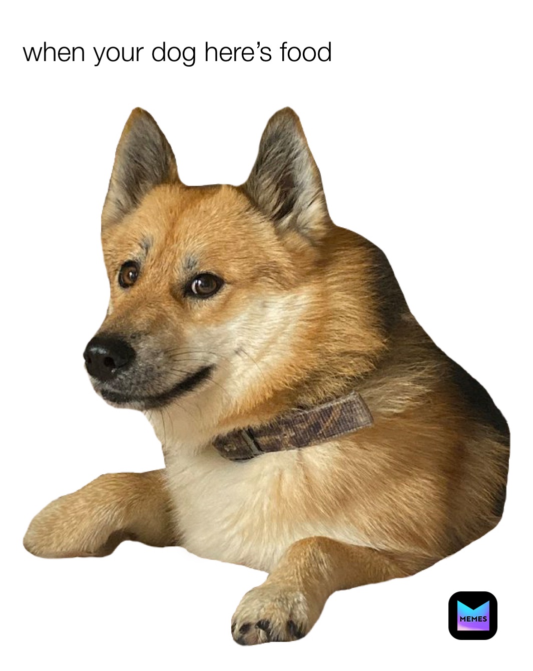 Meme by mems_master_