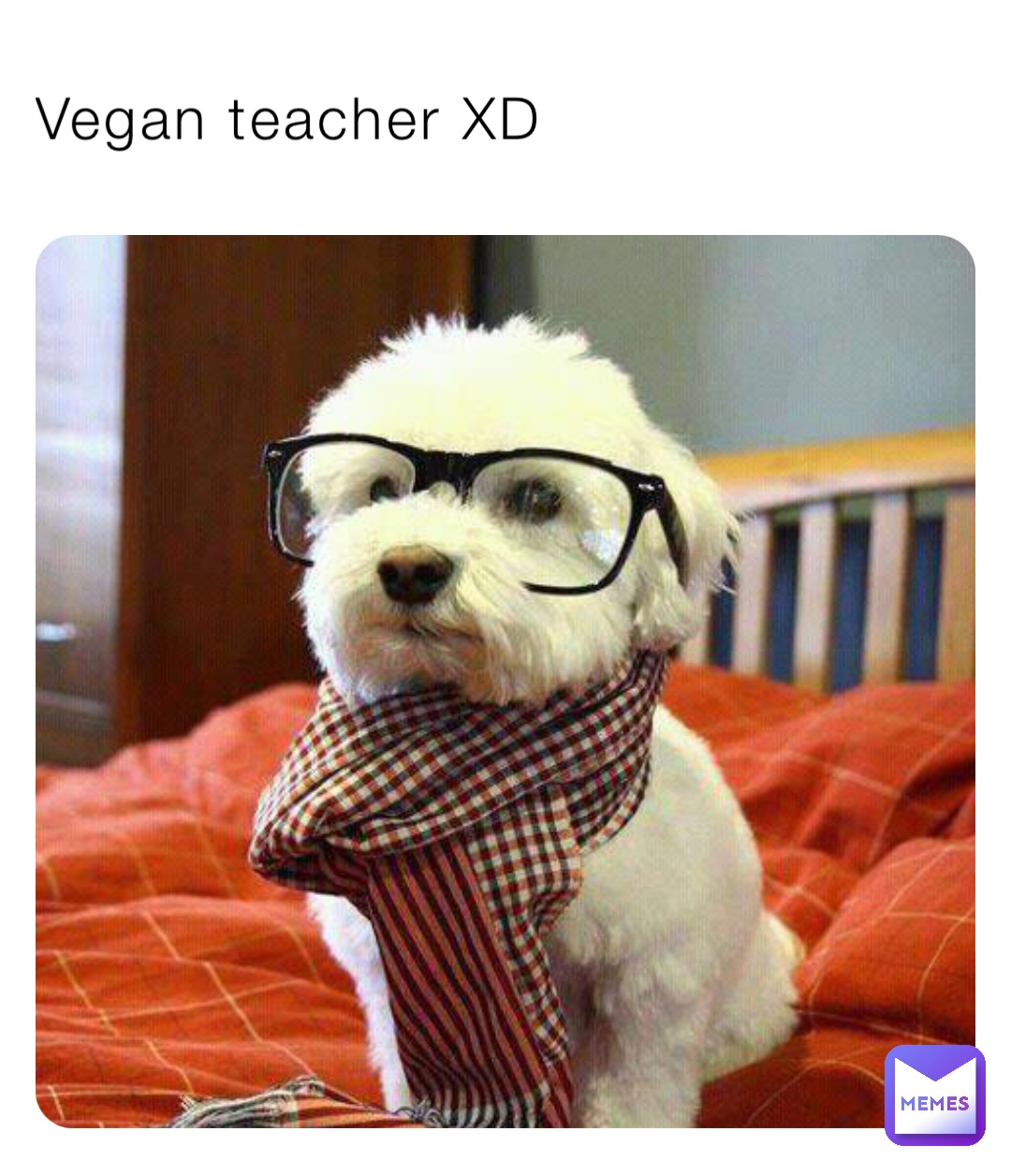Vegan teacher XD