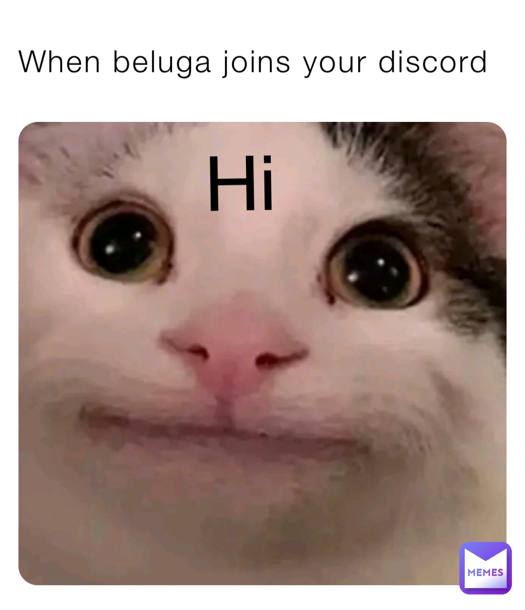 When beluga joins your discord