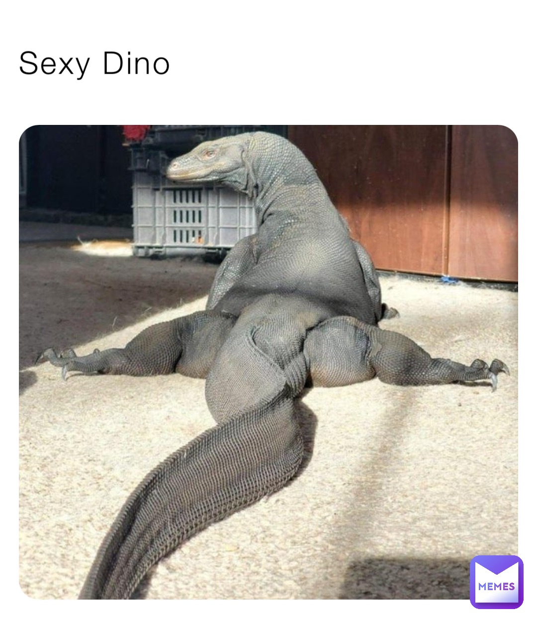Sexy Dino