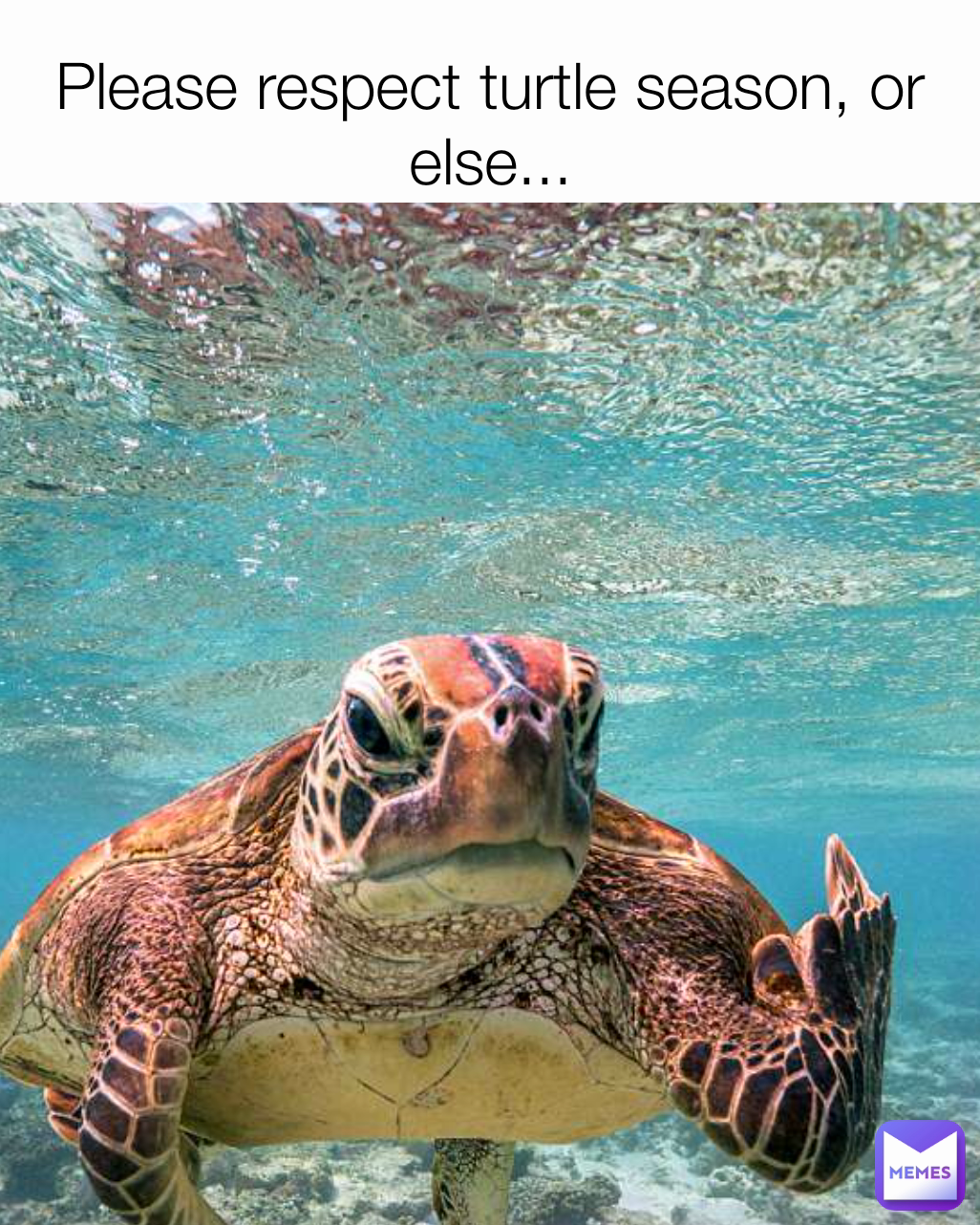 Meme by duckduckduke