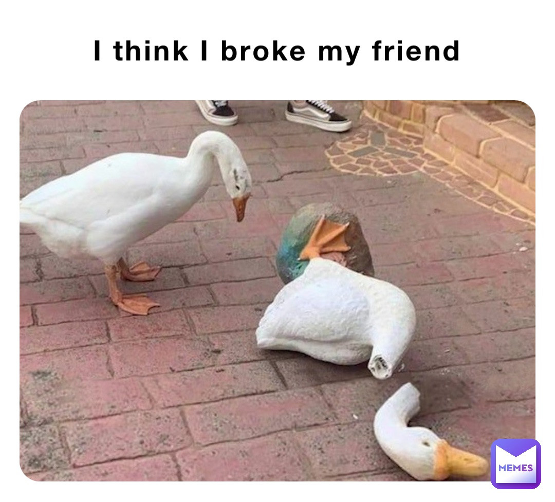 I think I broke my friend