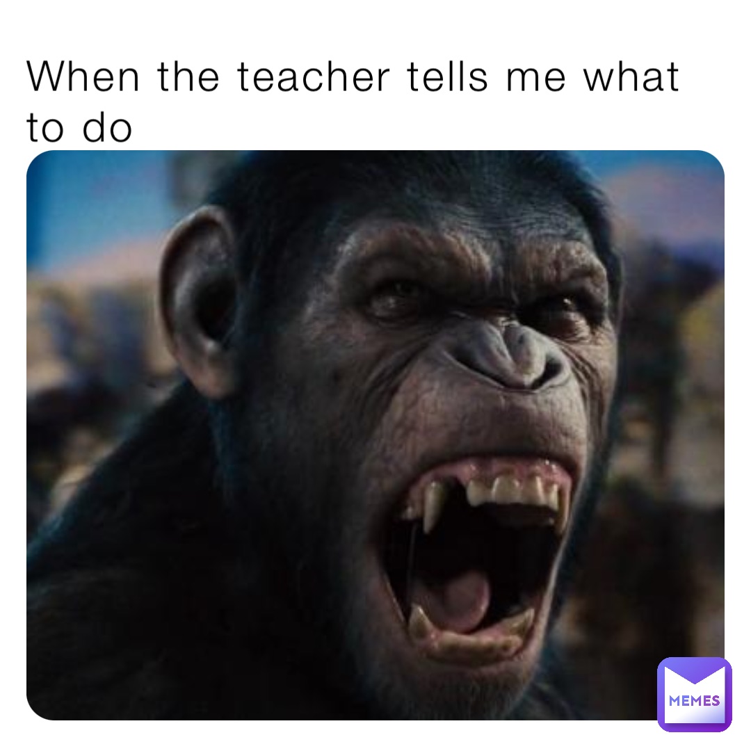 When the teacher tells me what to do | @theyenvy.tier | Memes