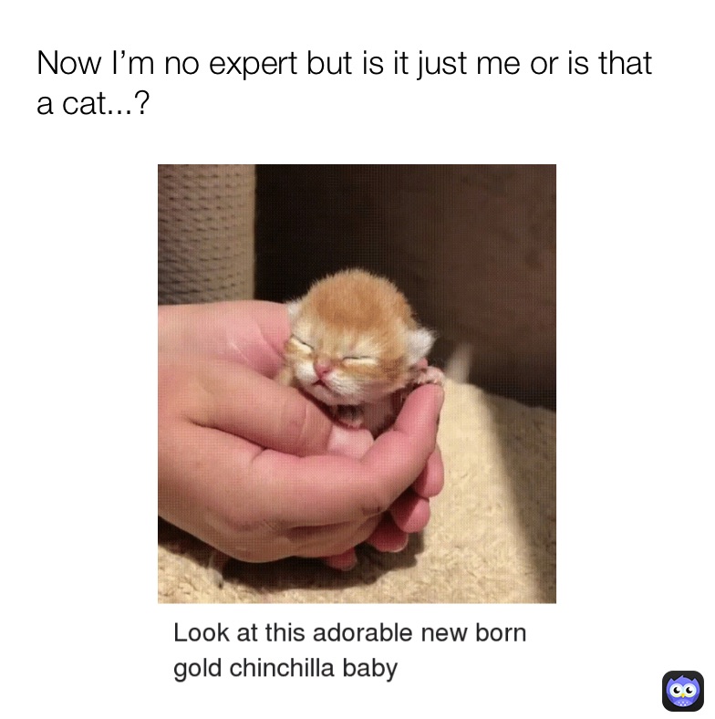 Meme by yeet_hipersonz7