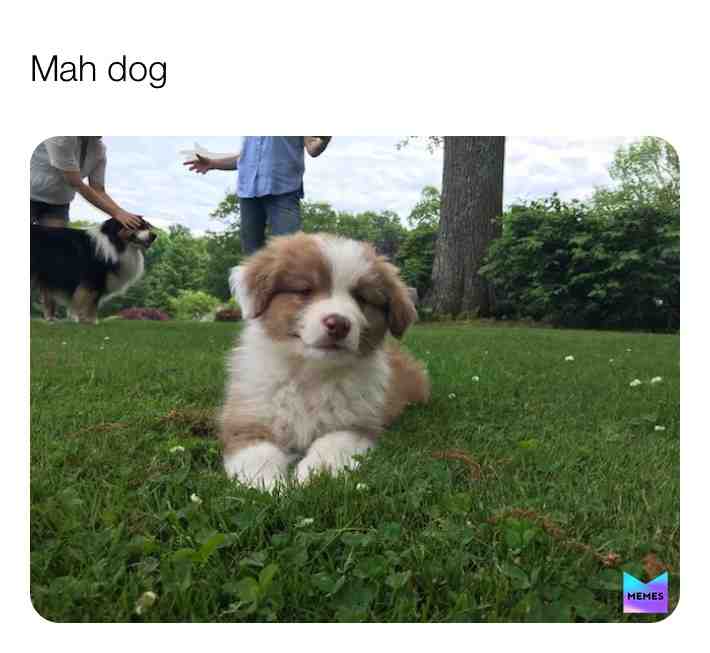 Soon it will be