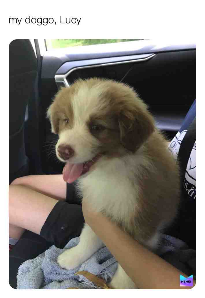 She’s a good girl