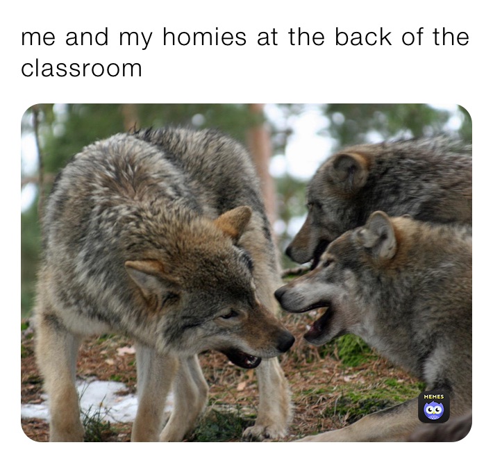 me and my homies at the back of the classroom