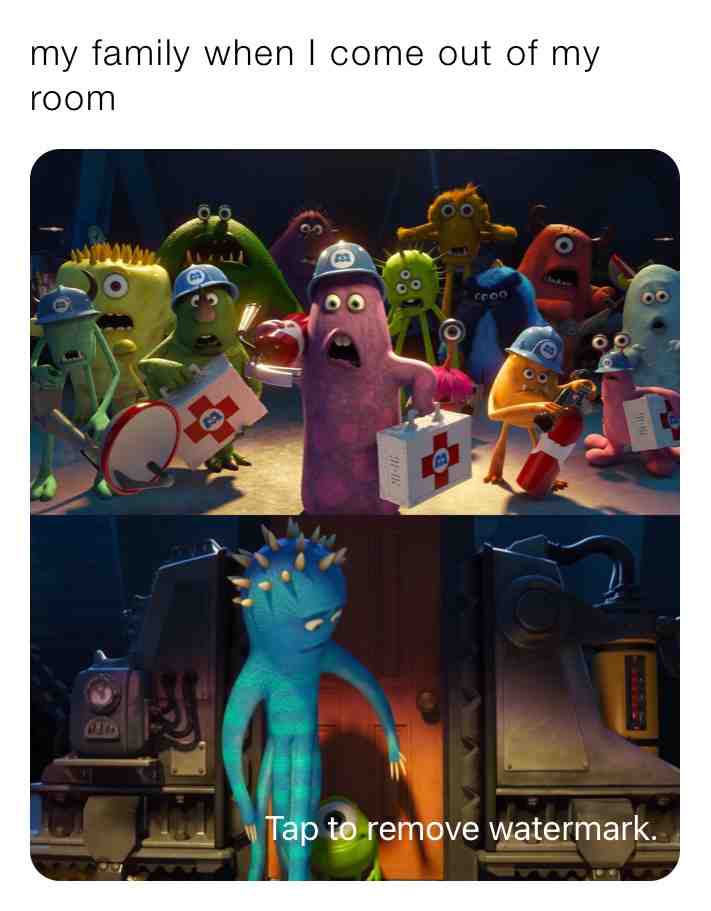 Meme shared by @tgh2c77pcw