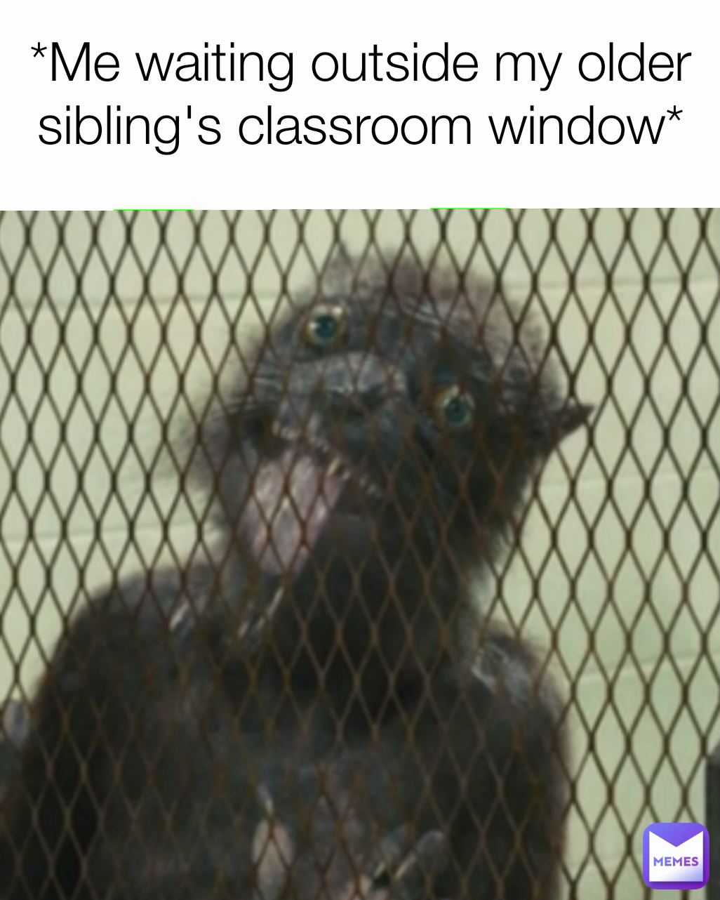*Me waiting outside my older sibling's classroom window*