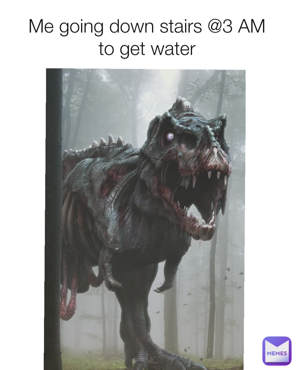 Me going down stairs @3 AM to get water