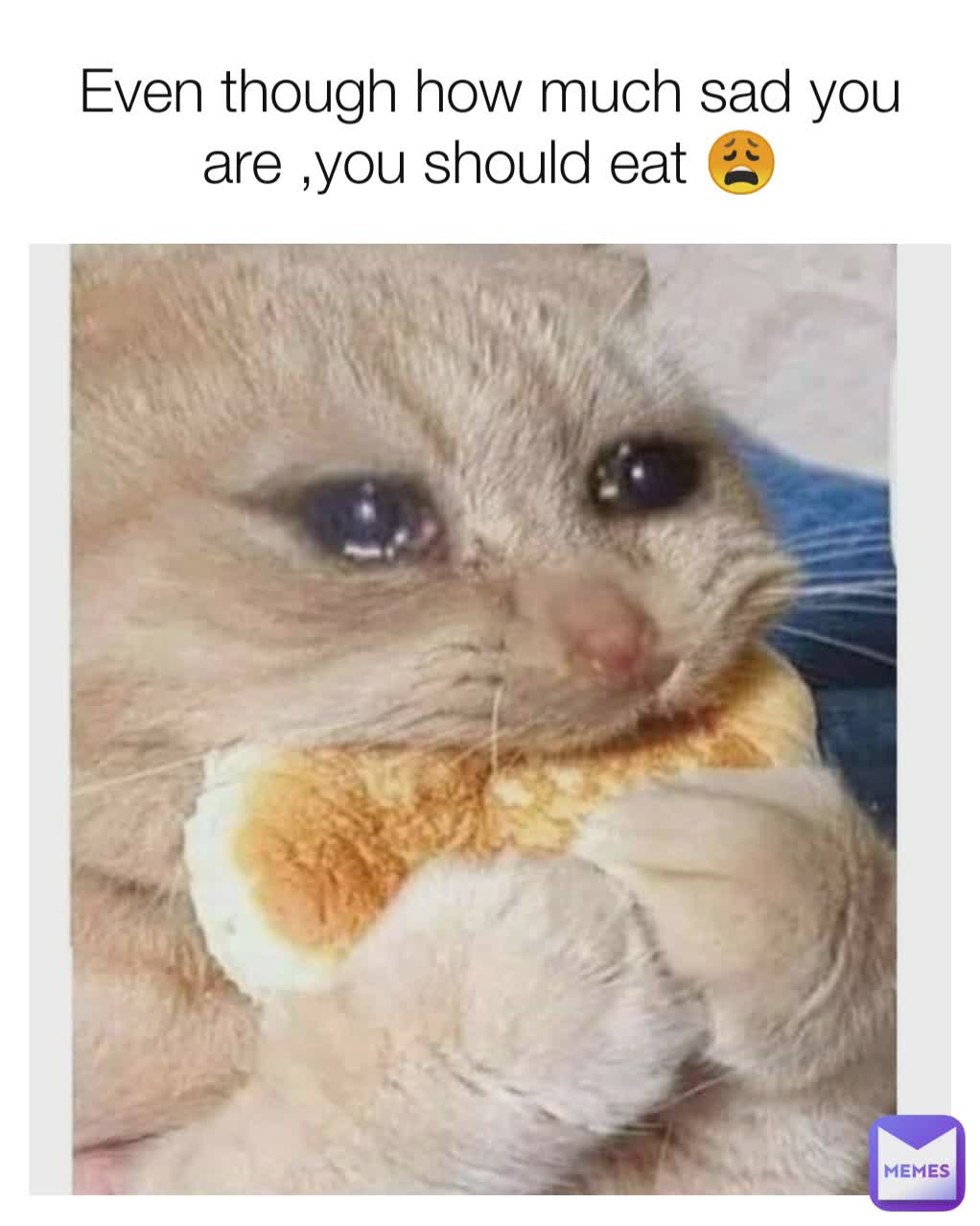 Even though how much sad you are ,you should eat 😩