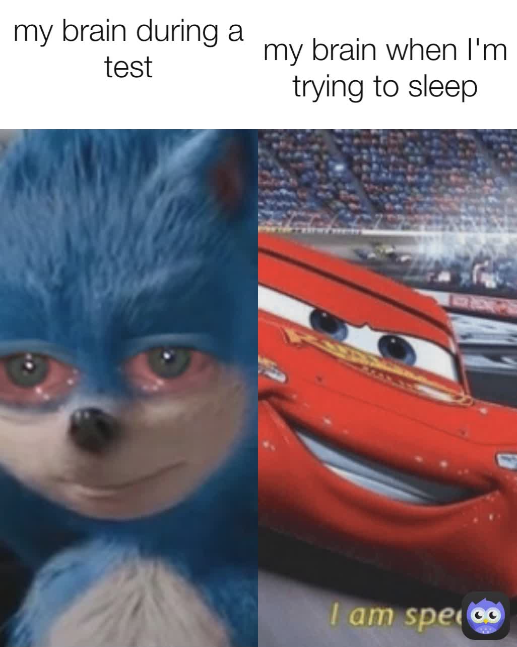 my brain when I'm trying to sleep my brain during a test
