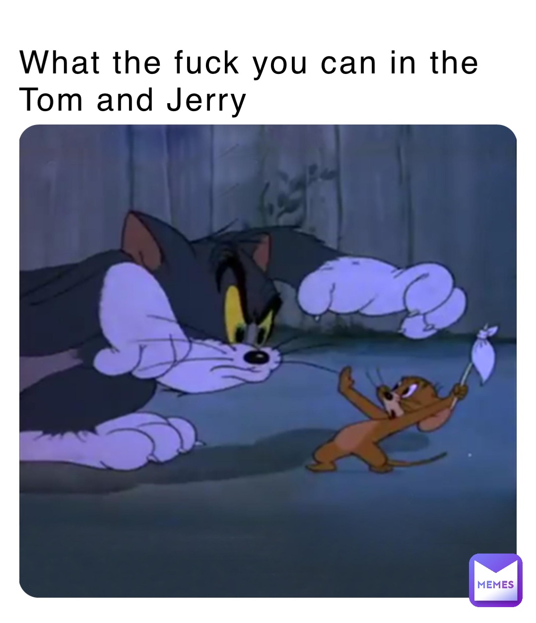 What the fuck you can in the Tom and Jerry