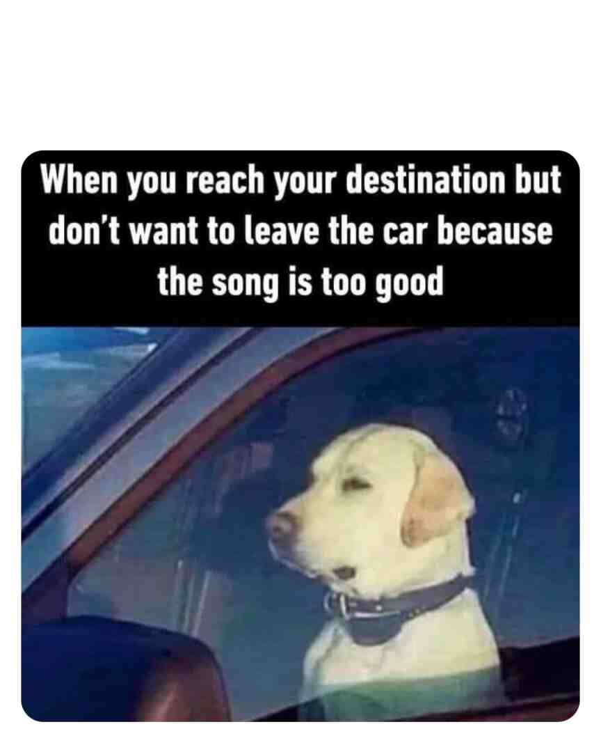 Meme shared by @Rewind_