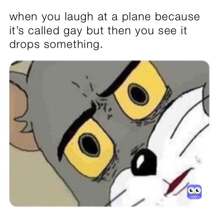 when you laugh at a plane because it’s called gay but then you see it drops something.
