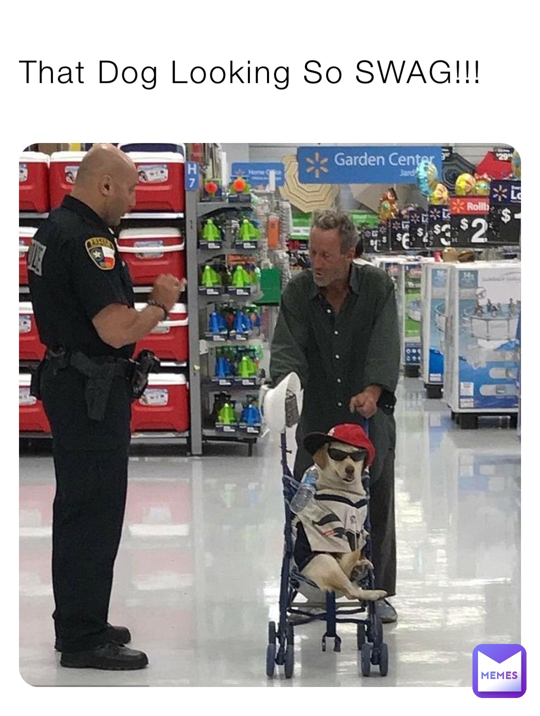 That Dog Looking So SWAG!!!