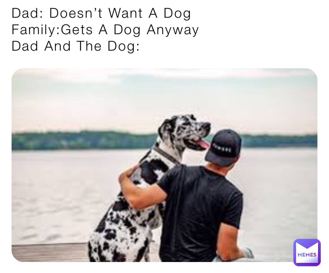 Dad Doesn t Want A Dog Family Gets A Dog Anyway Dad And The Dog Dad Doesn t Want A Dog Family Gets A Dog Anyway Dad And The Dog