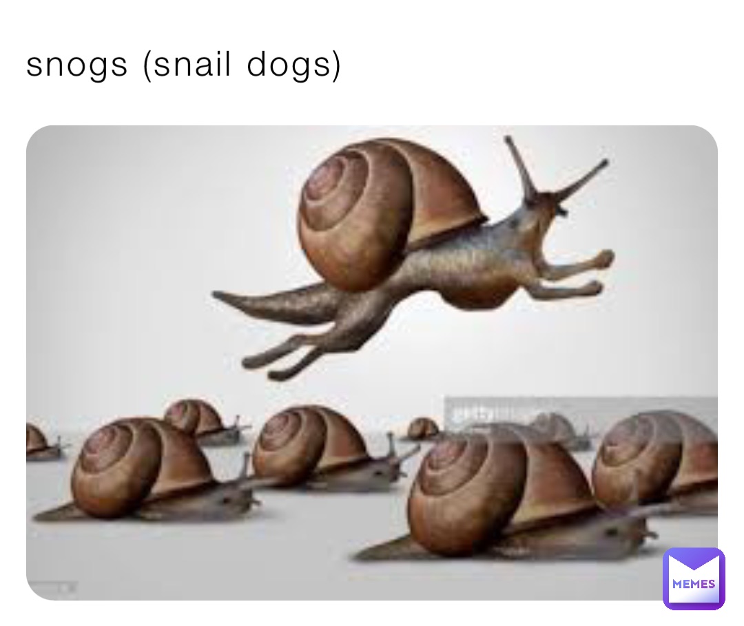 snogs (snail dogs)