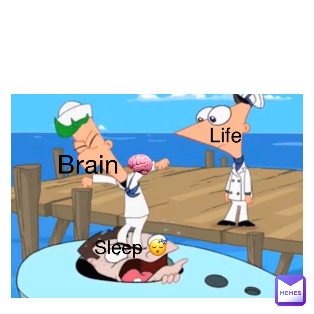 Brain 🧠 Life Sleep 😴