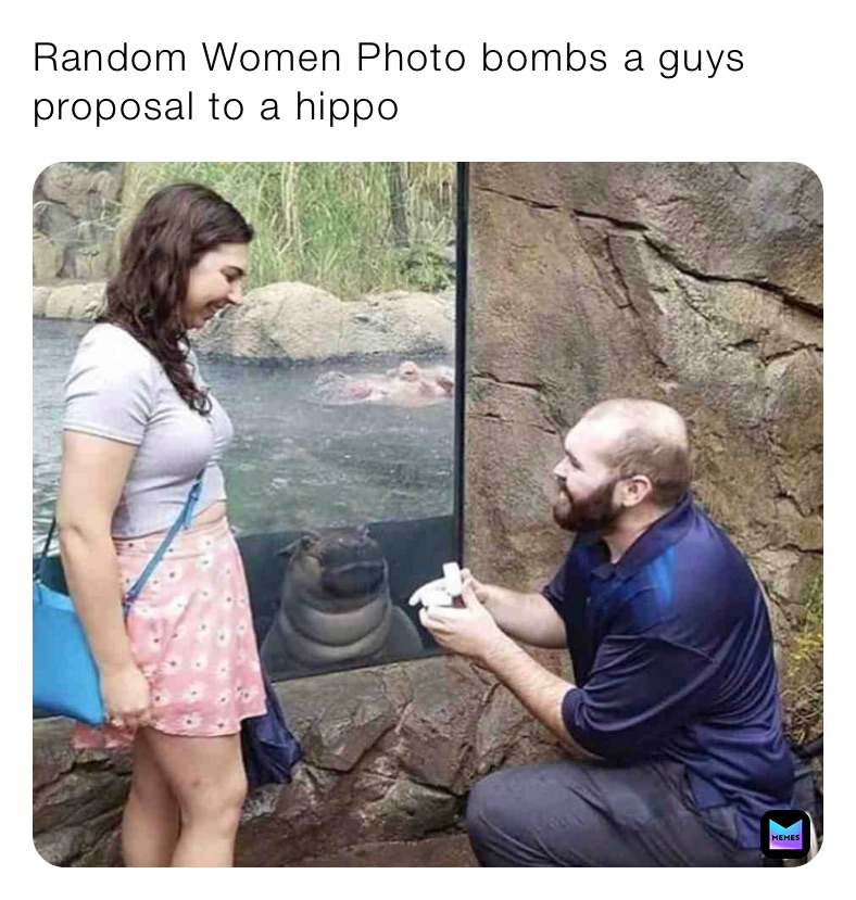 Random Women Photo bombs a guys proposal to a hippo