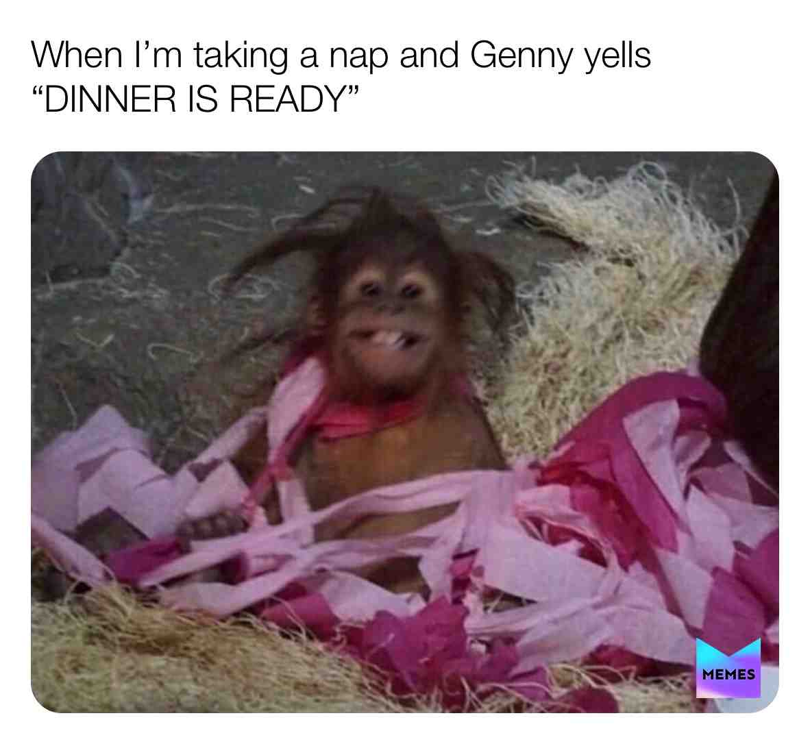 Meme shared by @scaredhamster