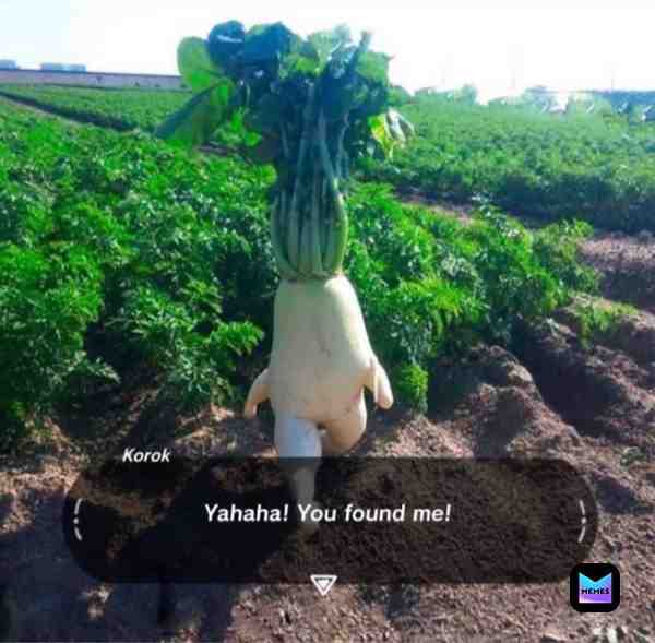 Meme shared by @scaredhamster