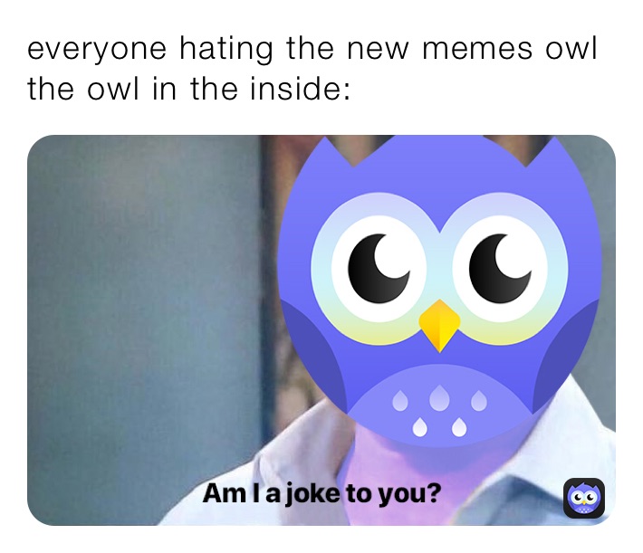 everyone hating the new memes owl
the owl in the inside: