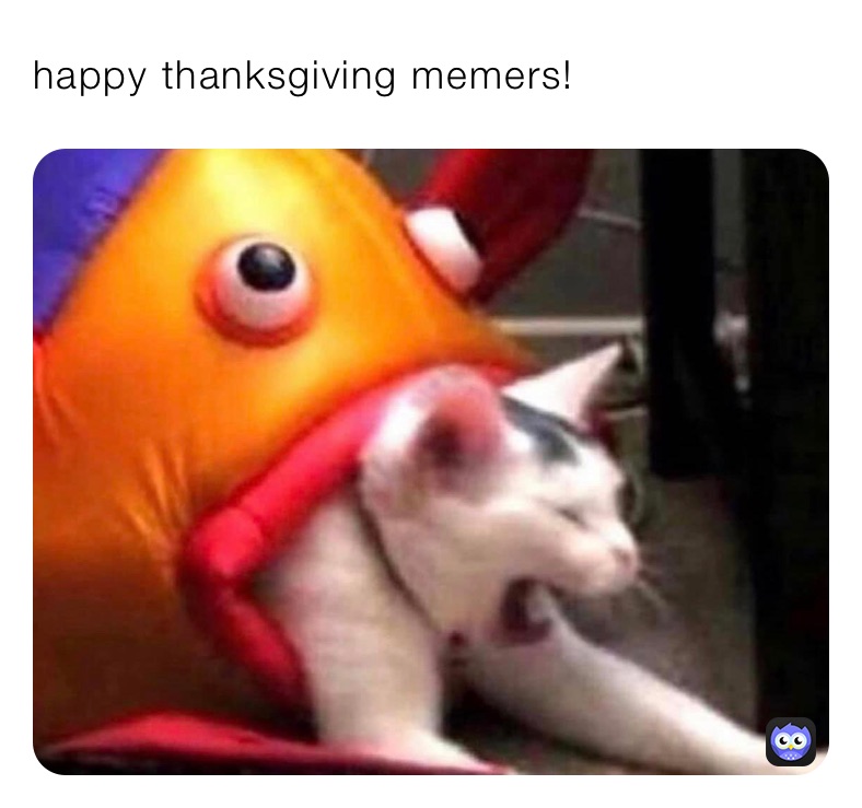 happy thanksgiving memers!