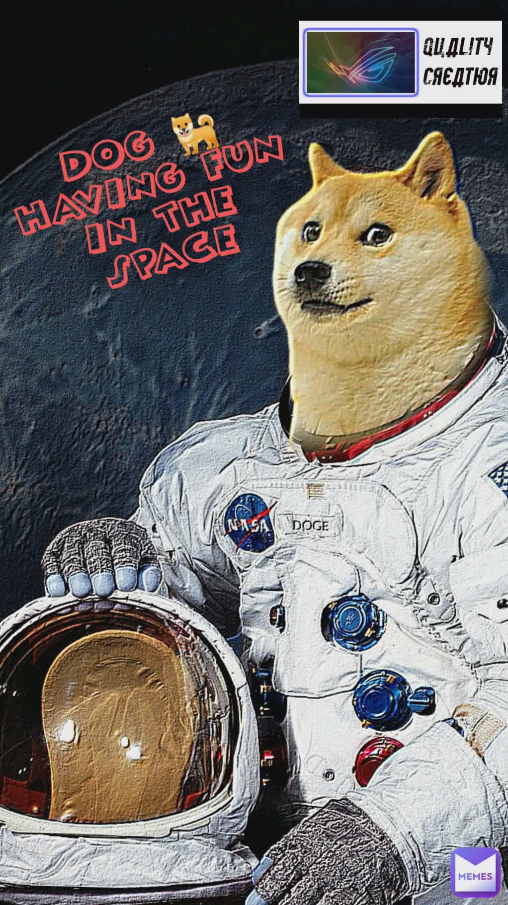 DOG 🐕
HAVING FUN
IN THE
SPACE