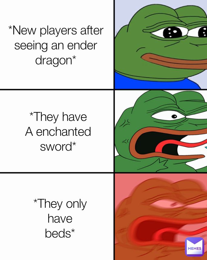 *They only have
beds* *They have A enchanted
sword* *New players after
seeing an ender dragon*
