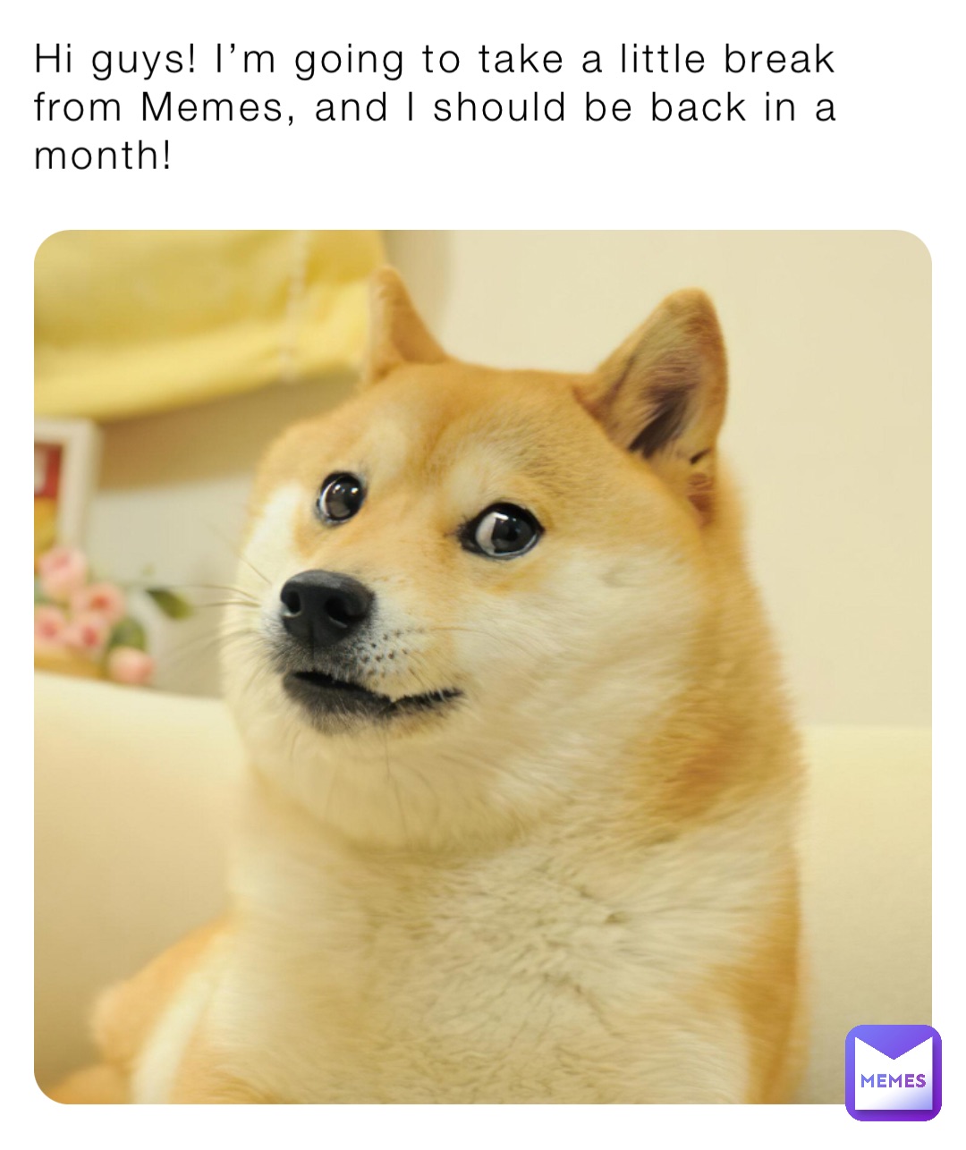 Hi guys! I’m going to take a little break from Memes, and I should be back in a month!