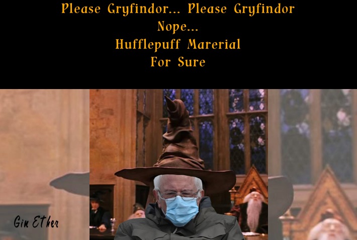 Please Gryfindor... Please Gryfindor
Nope...
Hufflepuff Marerial 
For Sure
