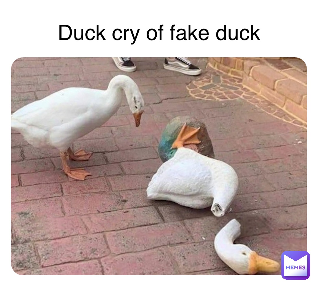 Duck cry of fake duck