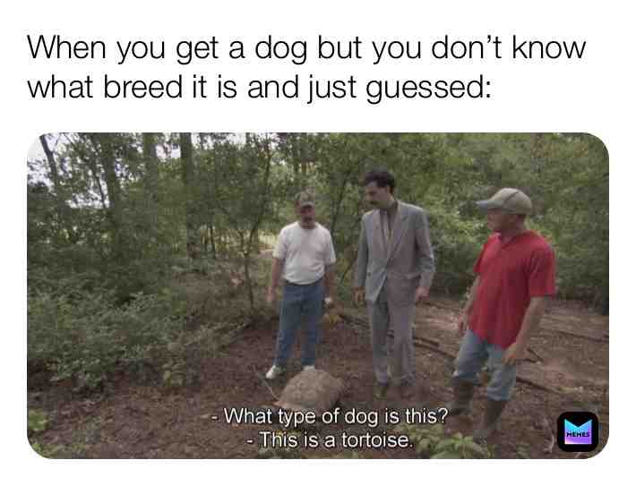 Meme preview