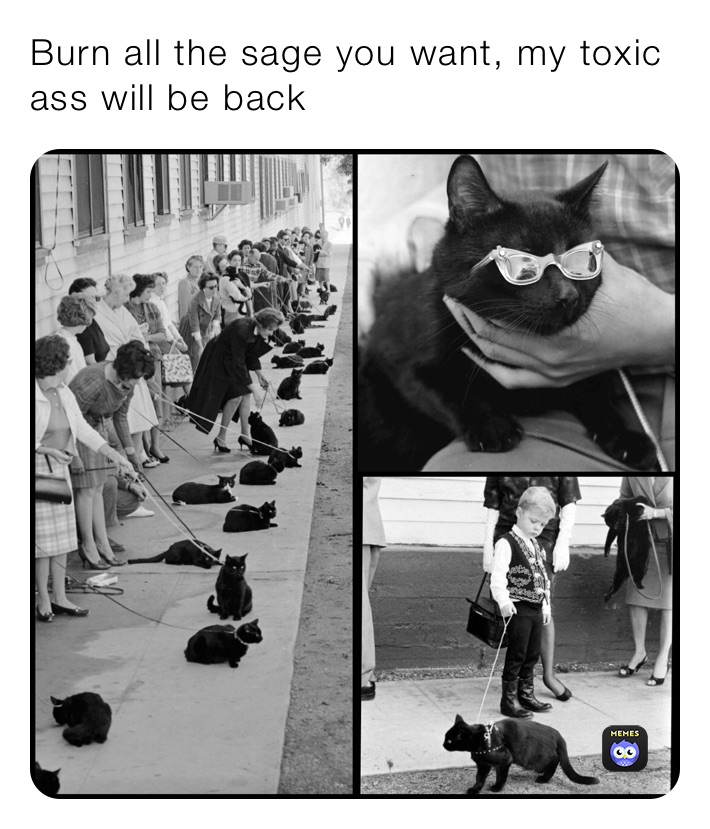 Burn all the sage you want, my toxic ass will be back