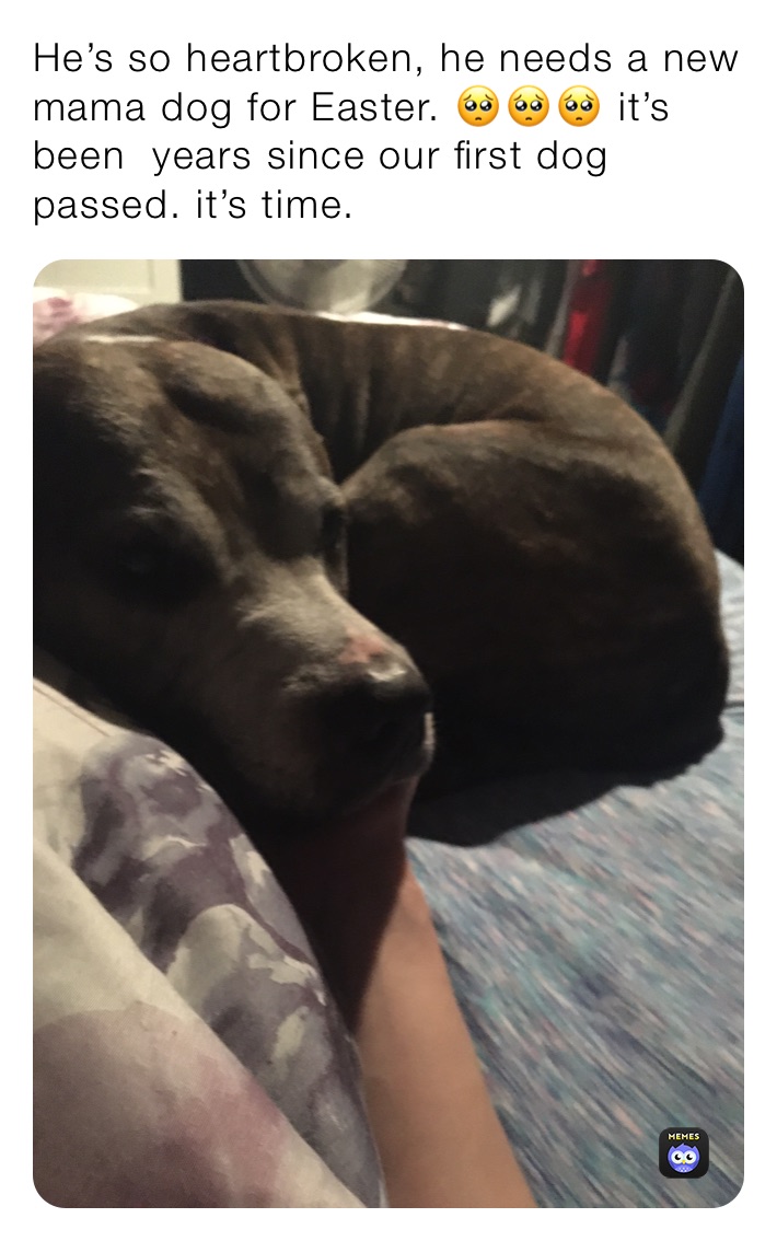 Meme by michellesilver925