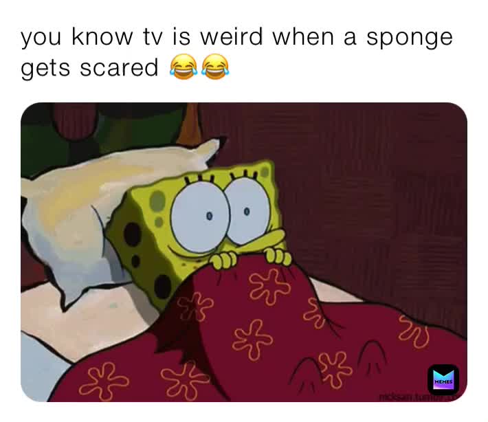 you know tv is weird when a sponge gets scared 😂😂 | @eatscience | Memes