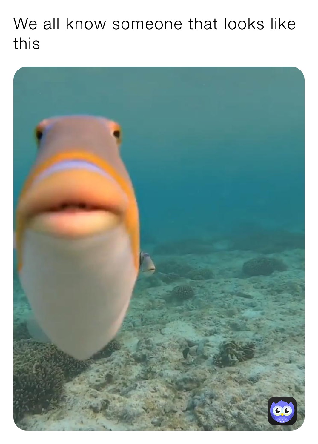 We all know someone that looks like this