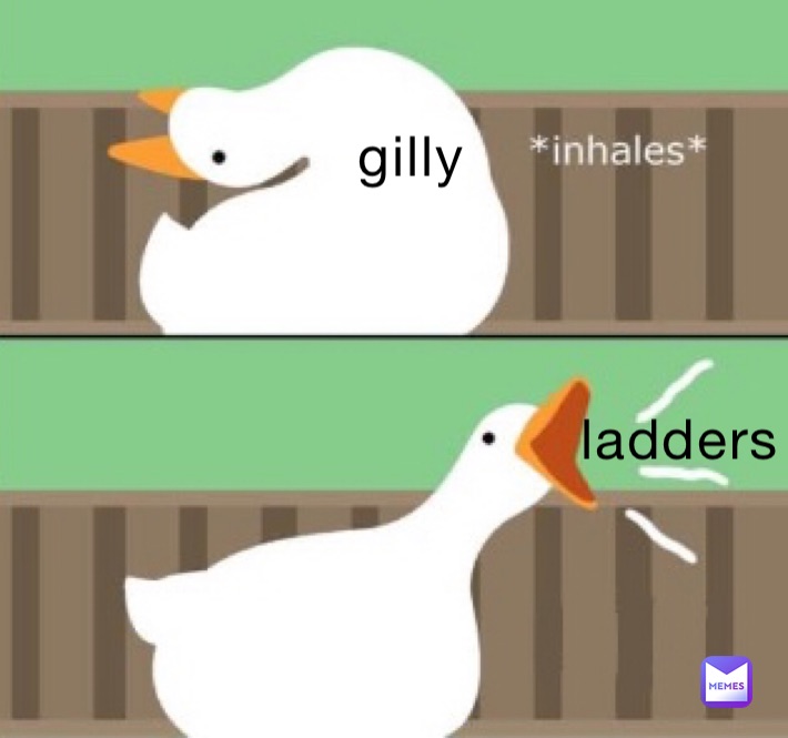 Meme by evie-sheridan