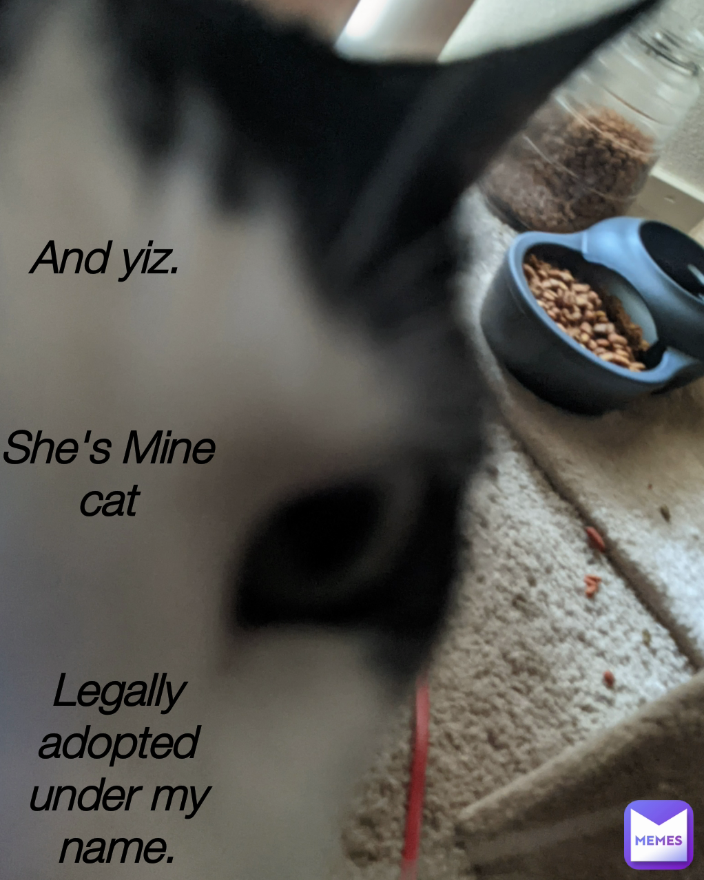 And yiz. She's Mine cat Legally adopted under my name.