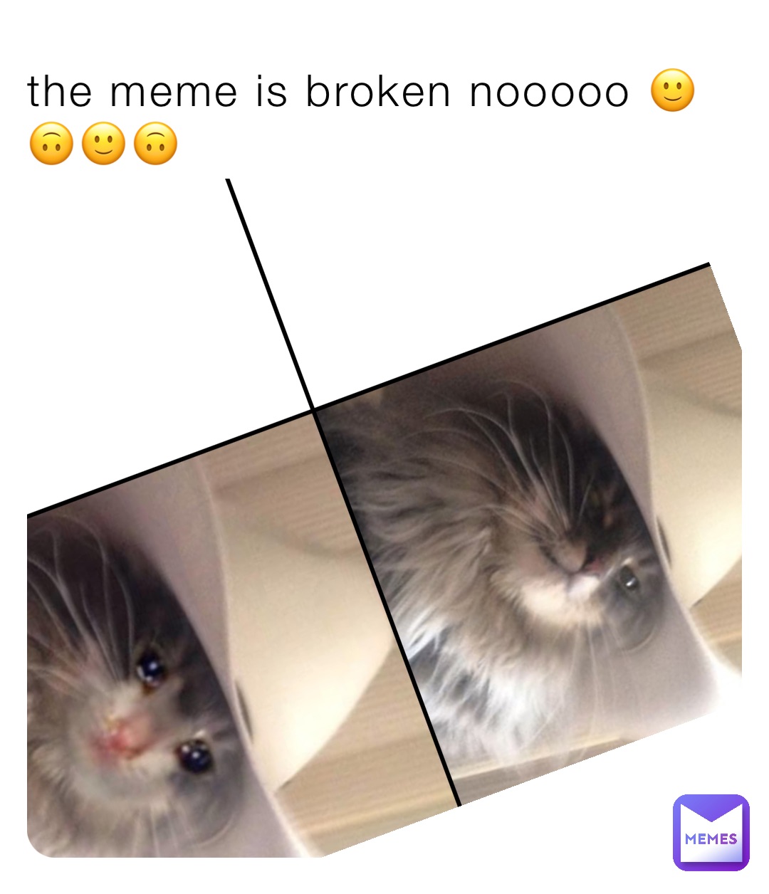 the meme is broken nooooo 🙂🙃🙂🙃
