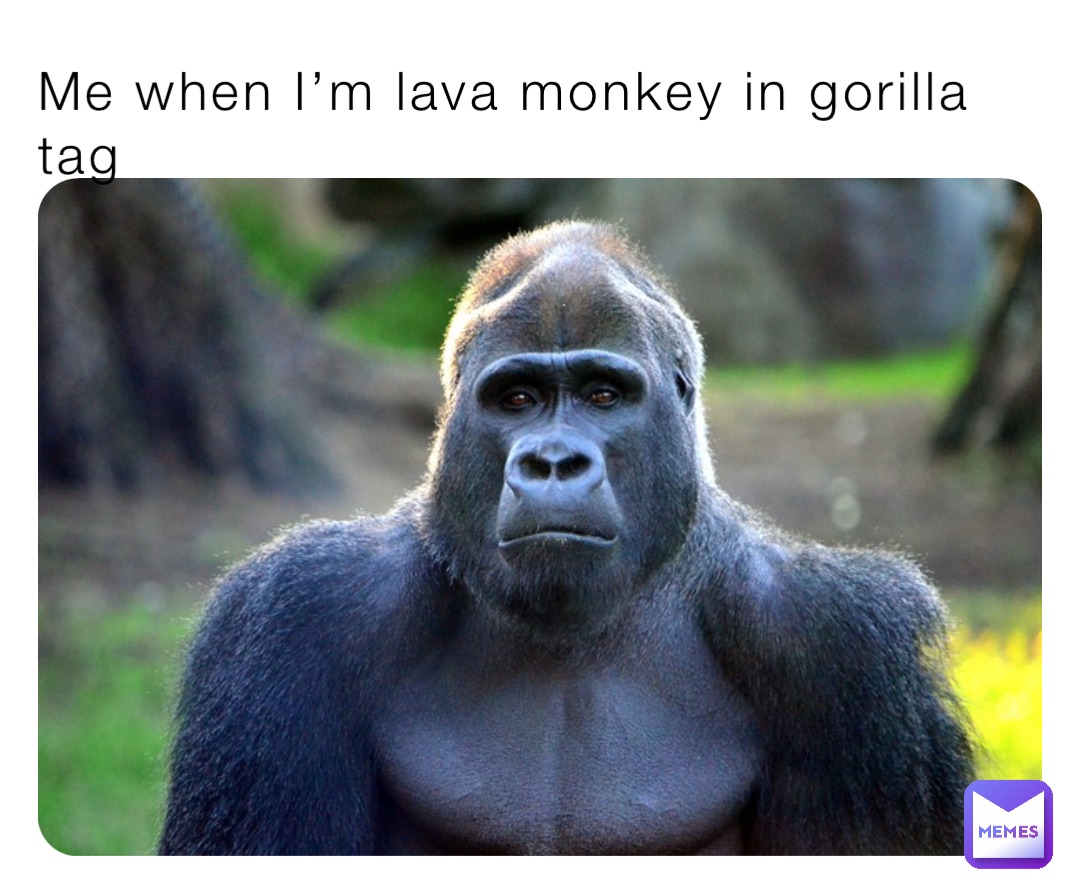 Me when I’m lava monkey in gorilla tag