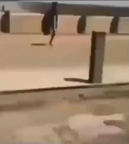 Meme preview
