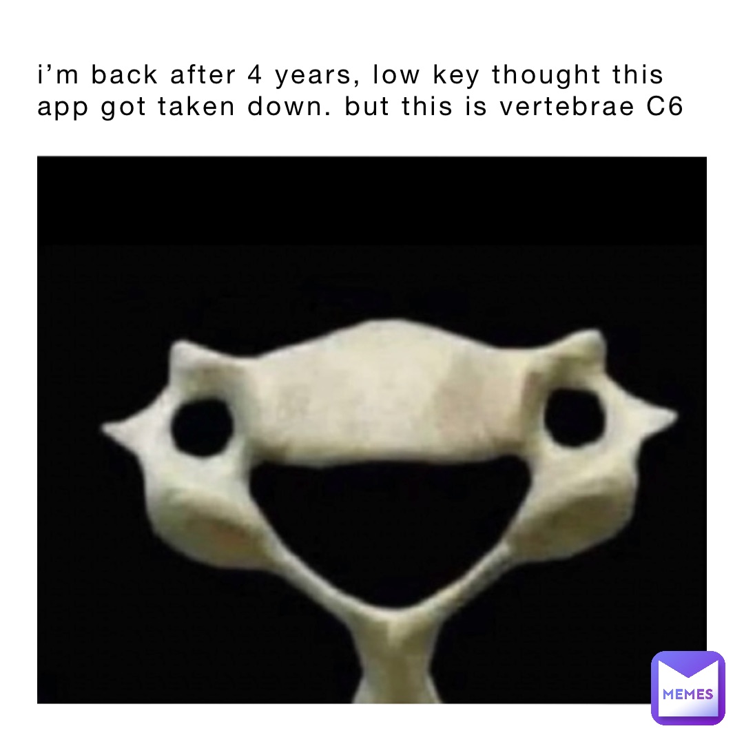 i’m back after 4 years, low key thought this app got taken down. but this is vertebrae C6