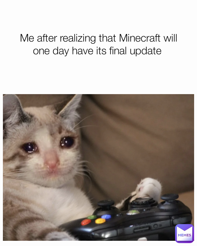 Me after realizing that Minecraft will one day have its final update 