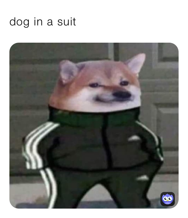 dog in a suit